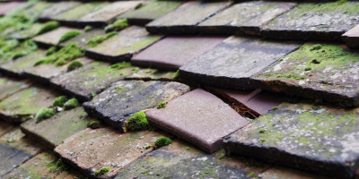 Cadmore roof repair costs